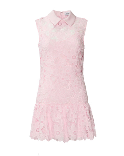 Pink Lace Collared Mini Dress